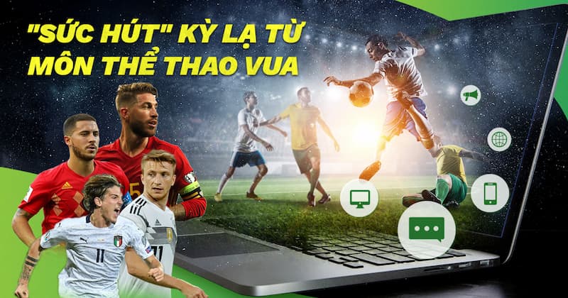 Giải Mã Sức Hút Của Bóng Đá Và Sự Chuyển Dịch Sang Tư Duy Phân Tích Dữ Liệu Tại Việt Nam